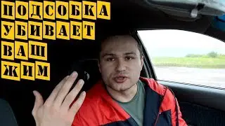 ВЫ ТОРМОЗИТЕ ВАШ ПРОГРЕСС В ЖИМЕ ЛЕЖА, ПОЧЕМУ Я ПРОТИВ ФАРМЫ, ОТЛИЧИЕ ПРОГ ДЛЯ ХИМИКОВ И НАТУРАЛОВ