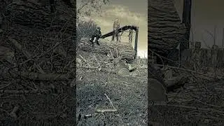 Кот music-aimba