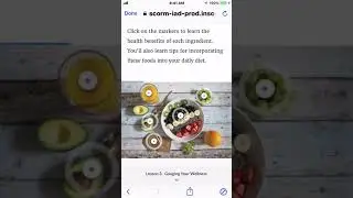 Canvas Student App SCORM Articulate Rise content test