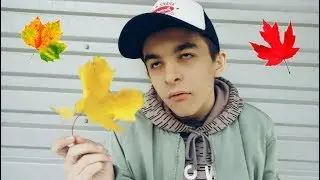 ВИДЫ ЛЮДЕЙ ОСЕНЬЮ