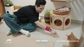 ANIMAL PLANET MY CAT FROM HELL CHINA