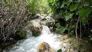 Rio Grande Poza macias