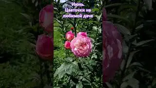 30 июня 2024 г.