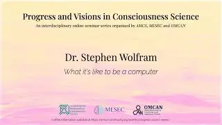 What It's like to be a computer -- Stephen Wolfram