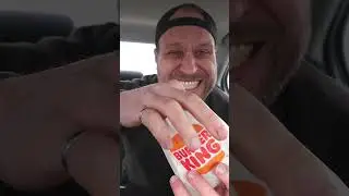Are Burger King's Dill Pickle Chicken Nuggets Actually Good? | SKIP IT or EAT IT