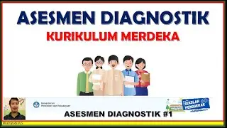 DIAGNOSTIC ASSESSMENT OF INDEPENDENT CURRICULUM - DIAGNOSTIC ASSESSMENT SERIES (Part 1)