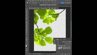 19 Remove Complex Background In Photoshop