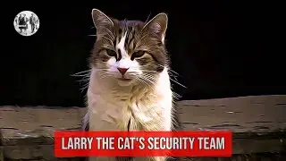 Larry, The Downing Street Cat  - His own security team