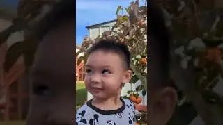 Fun Family persimmon picking