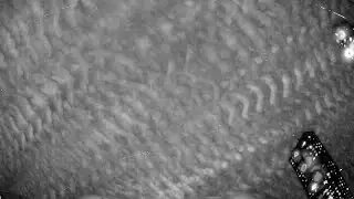 RMS BR0012 20240115 210520 758134 timelapse