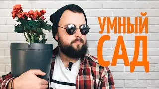 Умный сад - Обзор Parrot Bot и Click&Grow