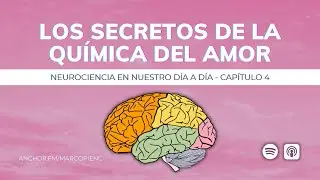LA MANERA MÁS SENCILLA Y RÁPIDA PARA ENTENDER AL AMOR