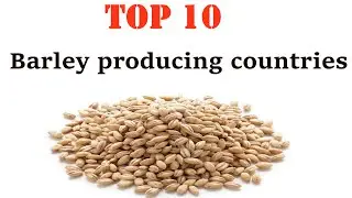 TOP 10-Barley producing countries