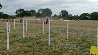 250cc final grasstrack pickering 9/8/26