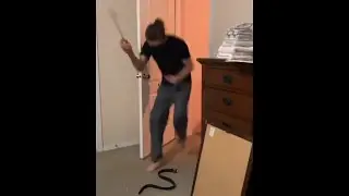 Woman plays fake snake prank on husband viral video