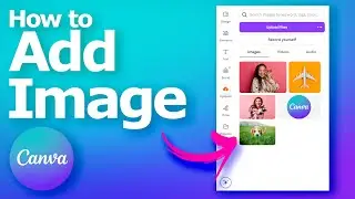 How to add image in Canva for Beginners