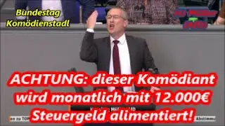 Die Schwachsinnigste Bundestagsrede ever: Hans Jörg Müller (AfD)❗️ 🚮😅 😂 🤣