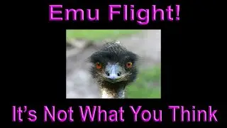 Emuflight Impulserc Apex Gushing over the Predator Nano v4
