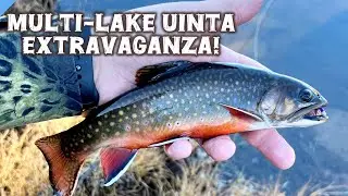 UINTAS #flyfishing