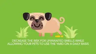 Fake Grass Real Talk: Artificial Grass and Pet Odors