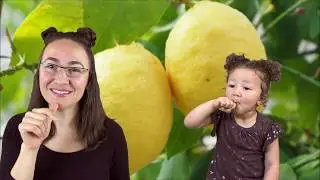 Baby ASL Baby!: Fruits