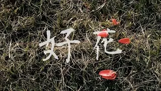 Independent Short Film - Good Flower