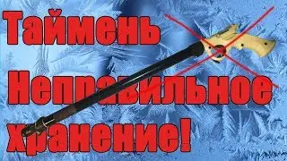 Таймень, неправильное хранение.