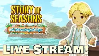 Playing Story of Seasons A Wonderful Life!!