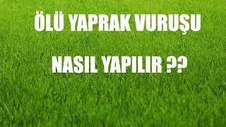 Pes 2013 - Ölü Yaprak Vuruşu Nasıl Yapılır ?