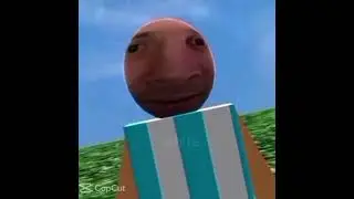 Excuse me brah #excusemebruh #memes #funny #roblox