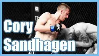 Cory Sandhagen's body work: striking breakdown