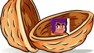 Shelly in a nutshell