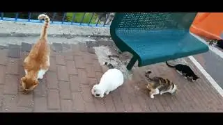 #юмор