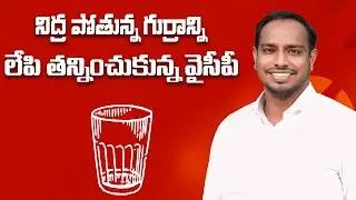 నిద్ర పోతున్న గుర్రాన్ని లేపి తన్నించుకున్న వైసీపీ  || Panditi Malhotra #glass #janasenaparty