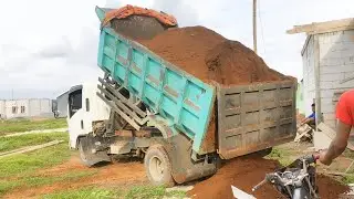 Mobil Truk// Damp Truk Jomplang Tanah Timbunan.