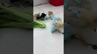 DIY Craft#trending #viral #youtubeshorts#ytshorts #ytshort #shortsfeed #shortsvideo #viral