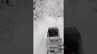 31 декабря 2023 г.