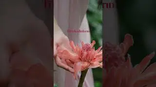 Hayatın her alanında var olan tüm emekçi kadınların 8 Mart Dünya Kadınlar Günü kutlu olsun.👩💪