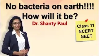 What if there are no bacteria on earth?| Kingdom monera