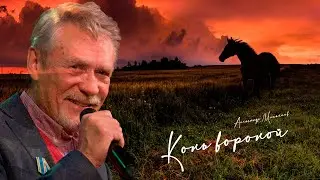 Александр Михайлов - Конь вороной