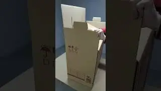 40208130