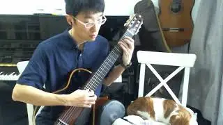 Serenade D.957 No.4- Franz Schubert - Classical Guitar - 20240318