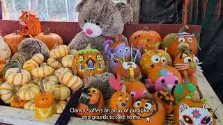 No car, no problem: A public transit-friendly guide to Halloween 2023