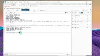 Brute Force attack with Burp Suite.
