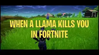 When a Llama kills you in Fortnite| FORTNITE Trolling