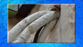 איתור נזילות מים, פיצוץ בצנרת, באמצעות מצלמת צינור.