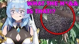 NEVER SEEN A BEEN DO THIS!! Strange internet videos | Vtuber Sain reacts to Daily Dose of Internet |