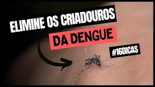 16 DICAS para eliminar os focos do criadouro da DENGUE