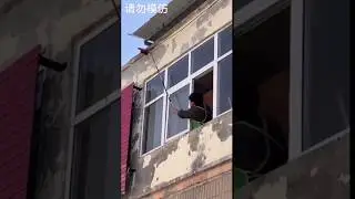 Man wanted to get rid of beehive but failed