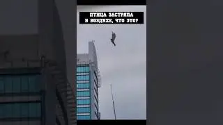 Сбой в матрице в реальной жизни